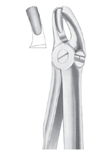 Fig. 18 upper molars left